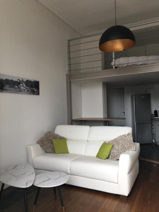 Hyper Centre Orleans : Appartement De Charme Exterior foto